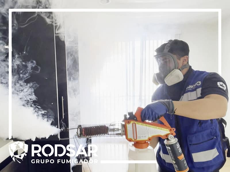 Fumigaciones en Merida